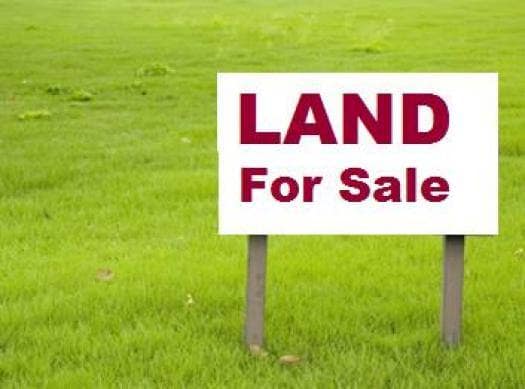 A Plot (100 X 100) Of Land For Sale @NGN650000