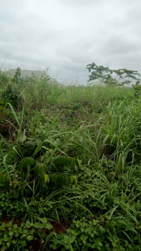 Two Plot (100ft x 200ft) of Land For Sale @ Ogunmwnyi Community, Off Ugbor Rd, Benin City